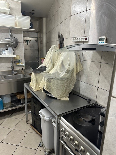 0 , 0 ,0,Restauration, pub og cafe,Til salg,0,1631